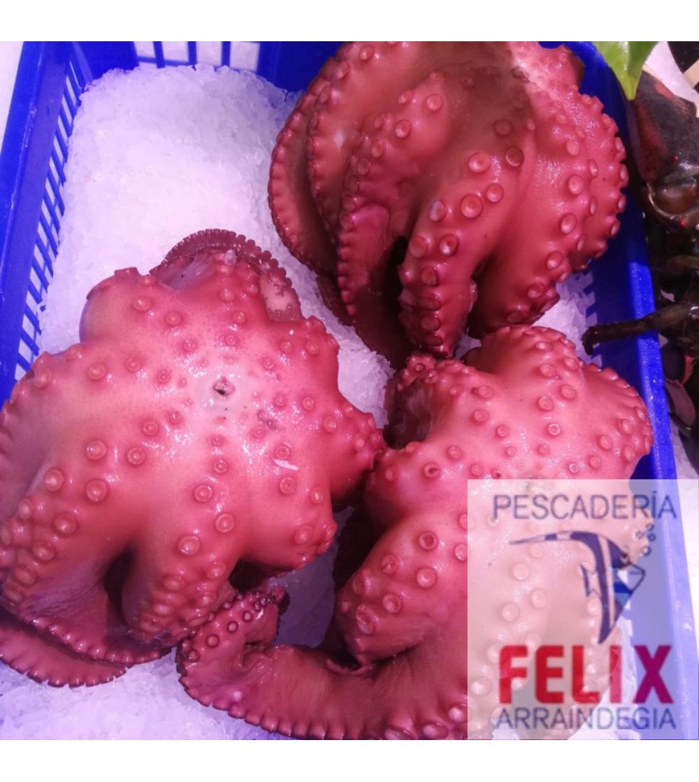 Pulpos Cocidos