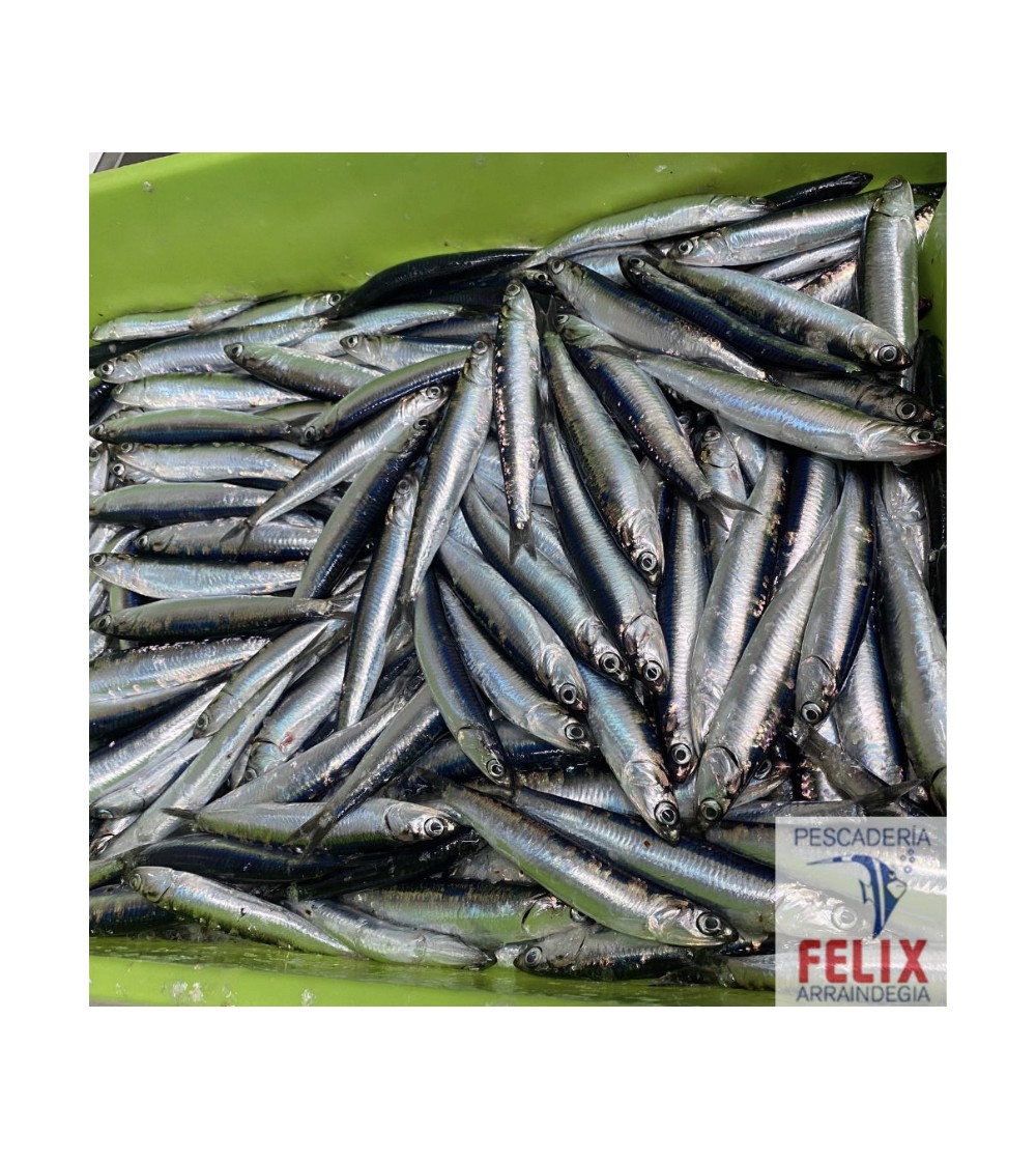 Anchoa Boquerón