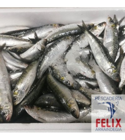 Sardinas