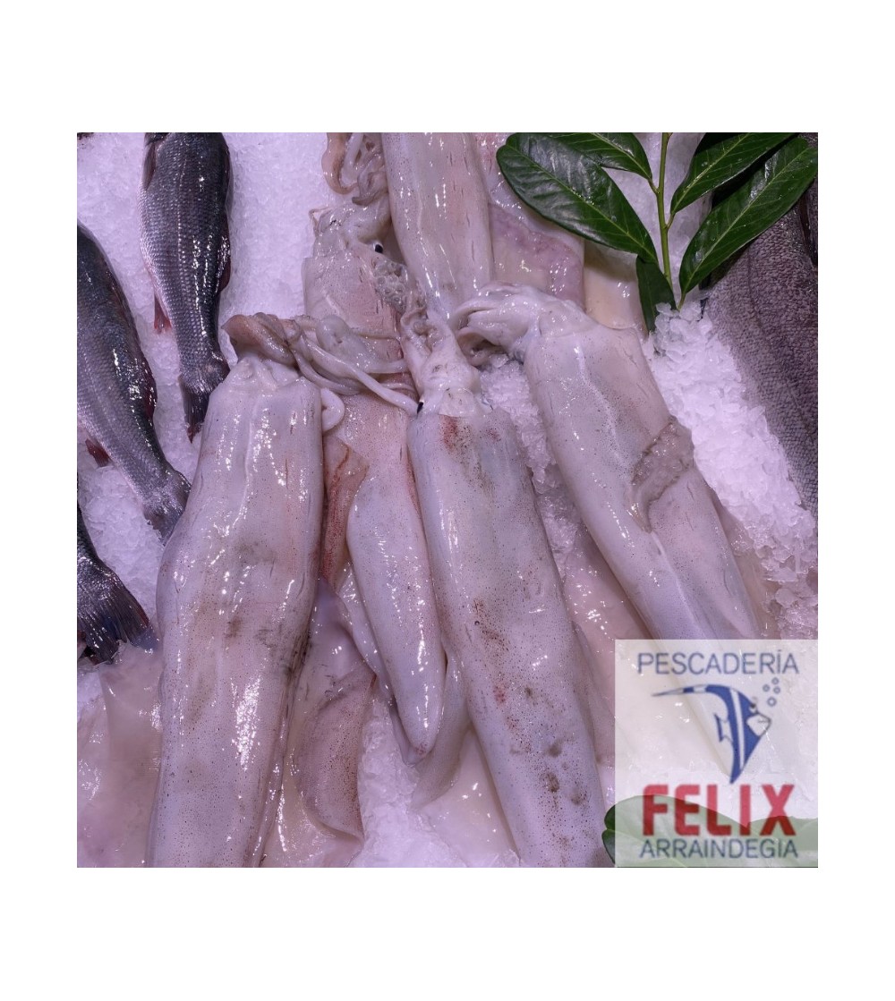 Calamare Grande